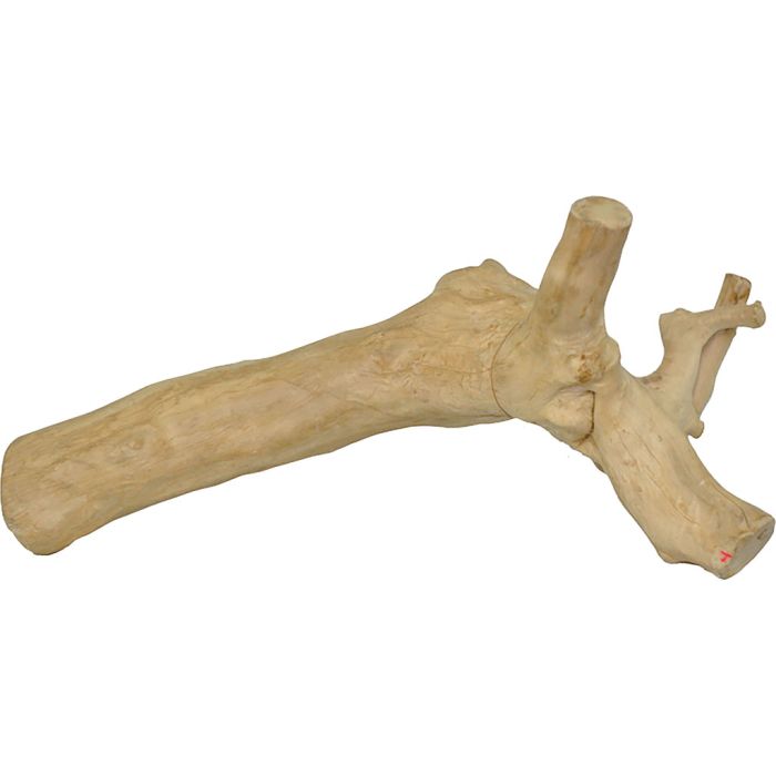 AEAE2104 Image 1