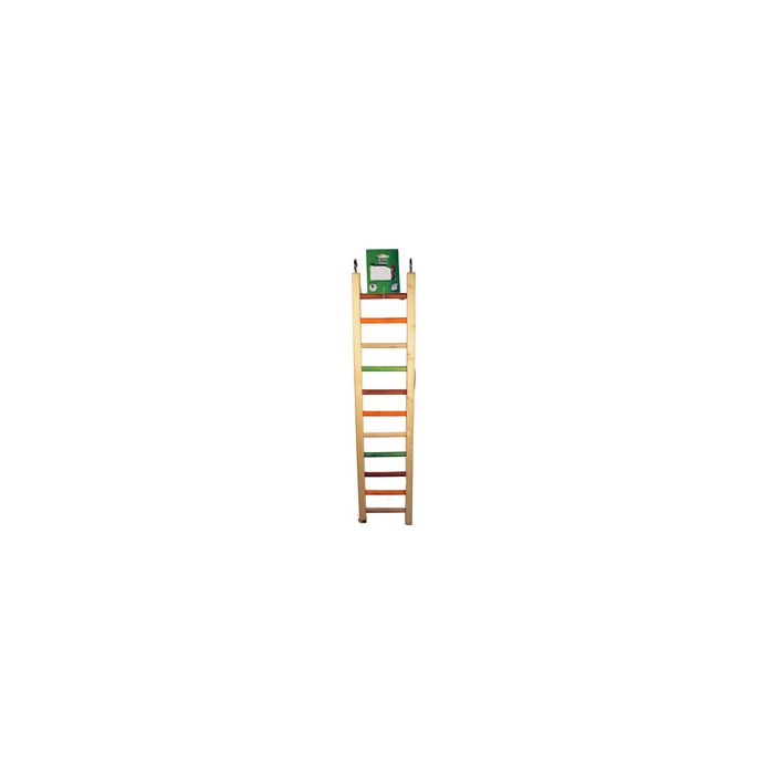 AEHB46419 Image 1