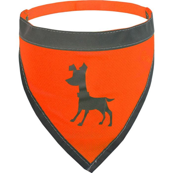 ALCOTTAPLESMDBANO Image 1