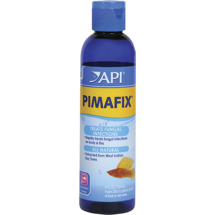 API10G Image 1