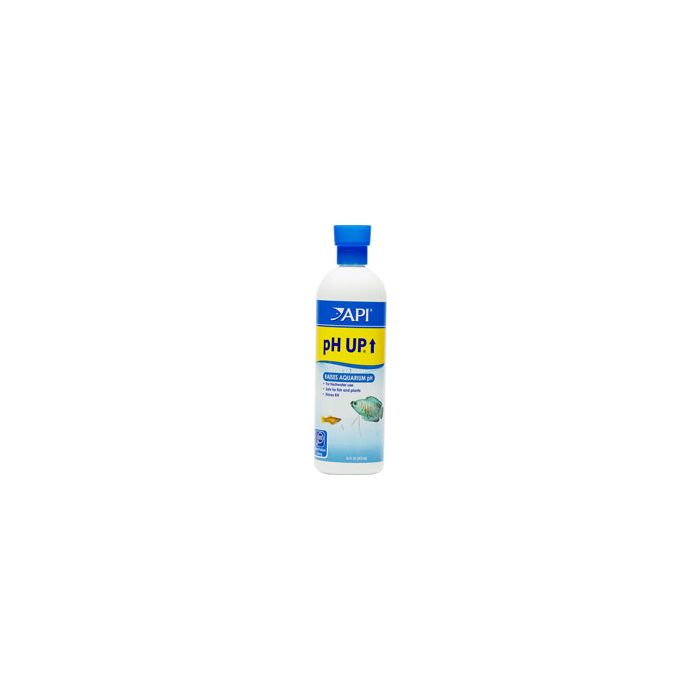 API31B Image 1