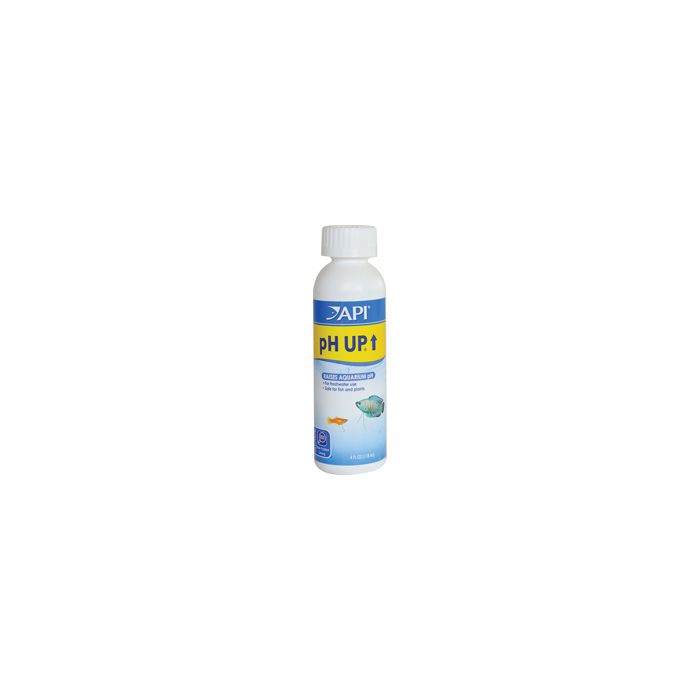 API31C Image 1