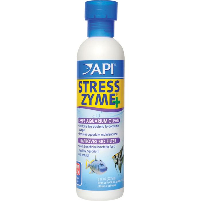 API56D Image 1