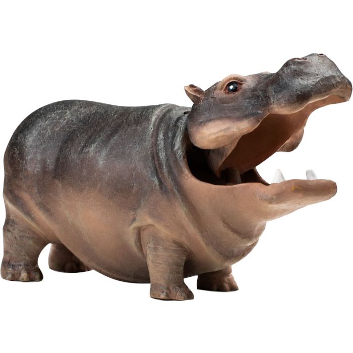 AQUATOAOBHO Image 1