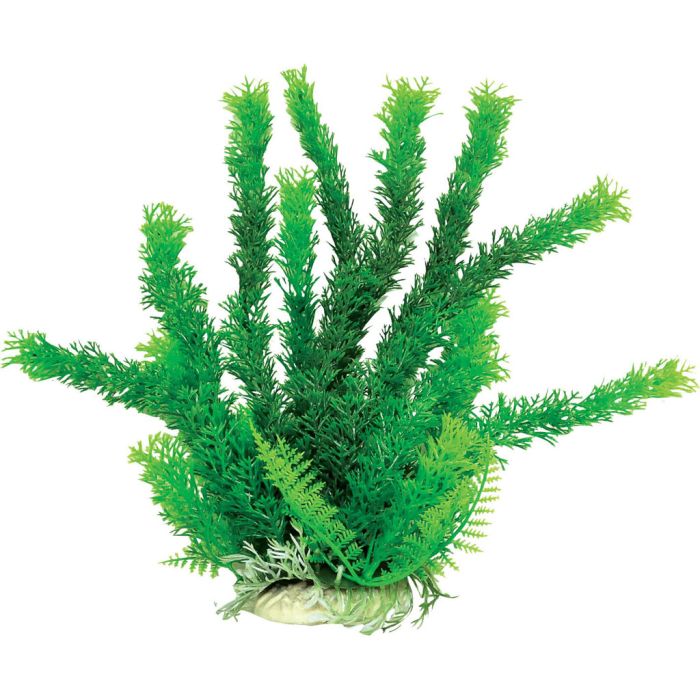 AQUATOPDBH01 Image 1