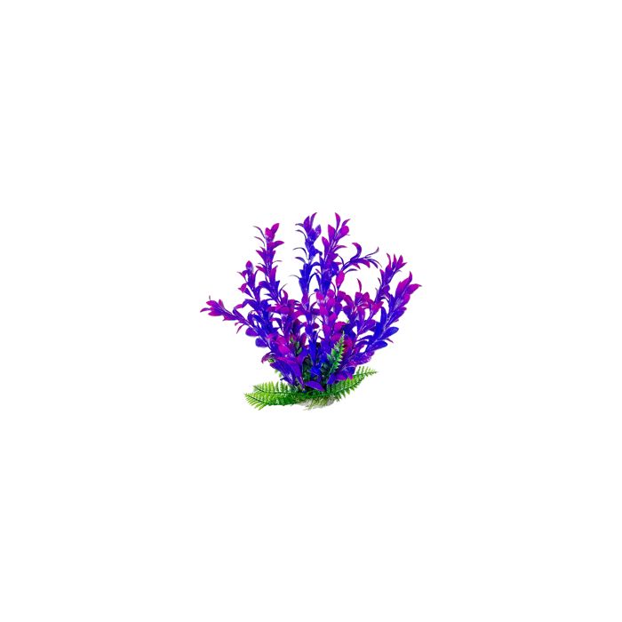 AQUATOPDBH17 Image 1