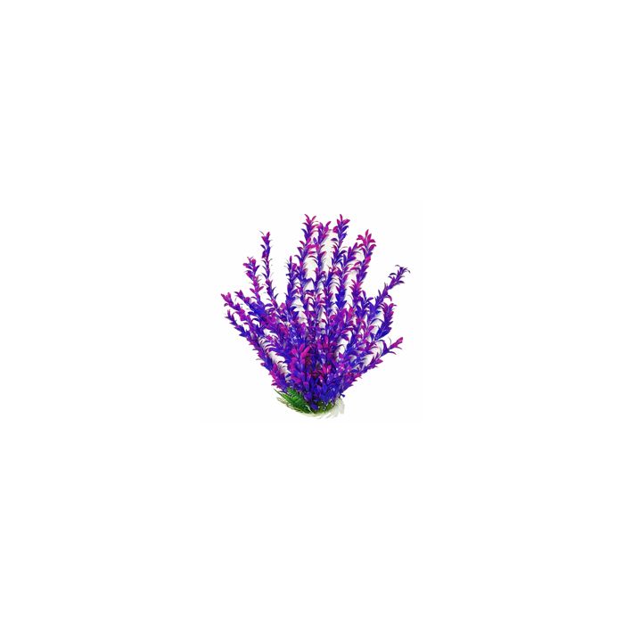 AQUATOPDBH19 Image 1