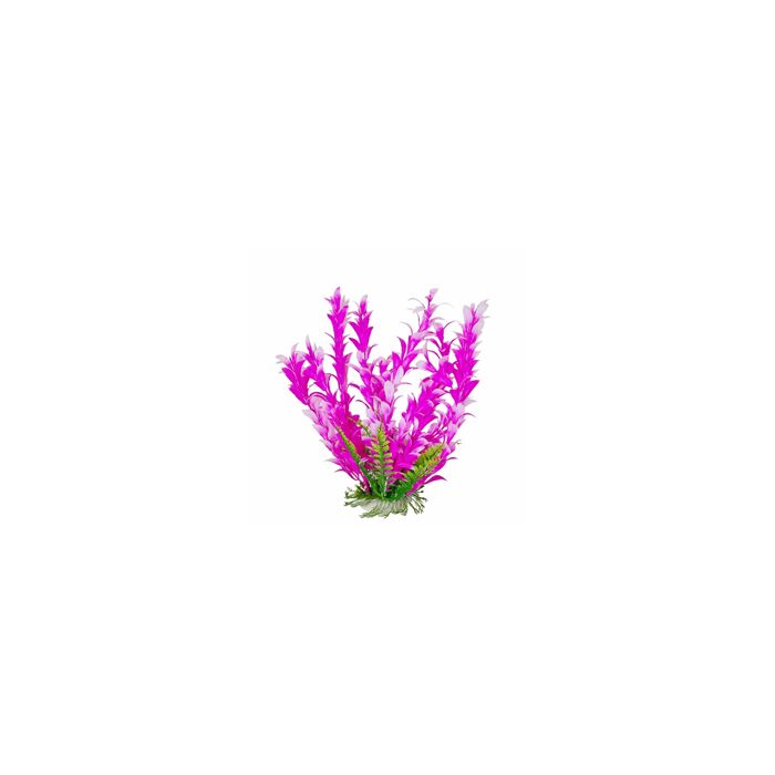 AQUATOPDBH21 Image 1