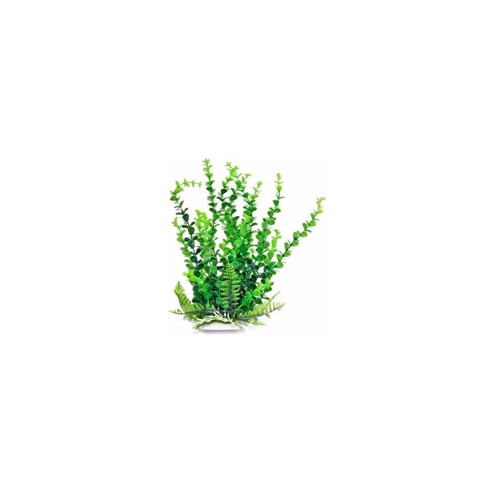 AQUATOPDBH32 Image 1