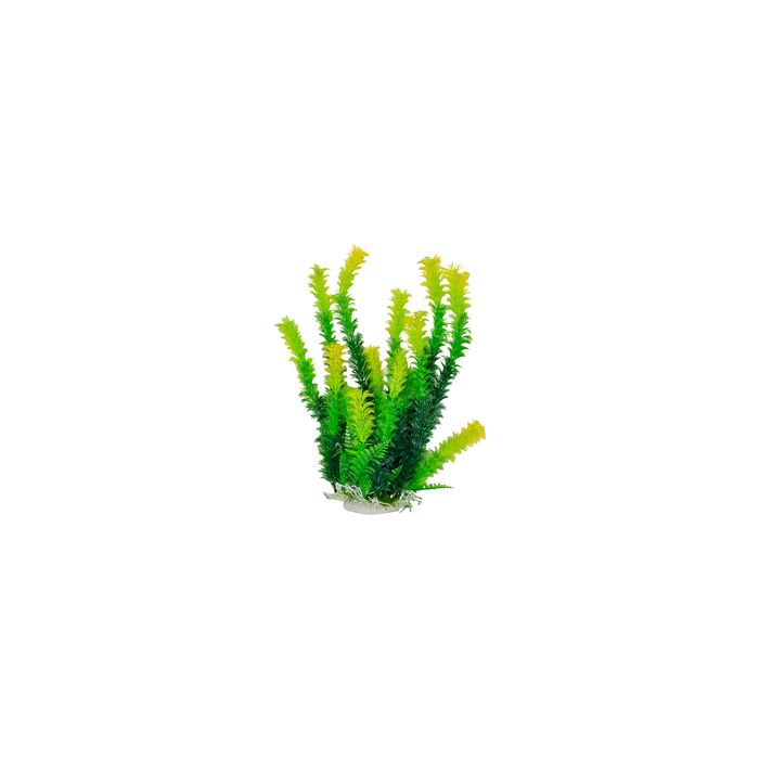 AQUATOPDBH38 Image 1