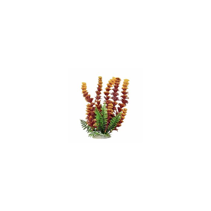 AQUATOPDBH43 Image 1