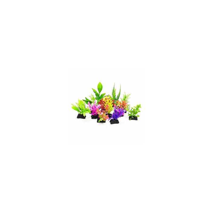 AQUATOPDMULTI2 Image 1