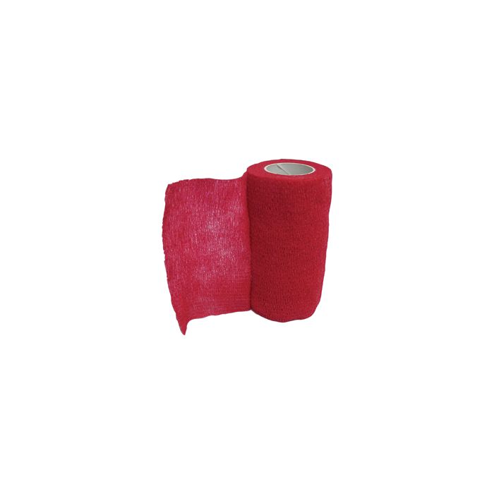 ASI40713401 Image 1