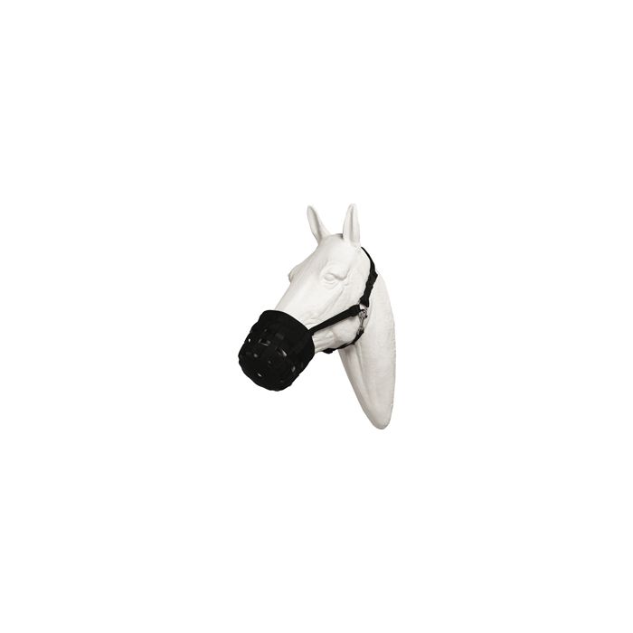 BESFRIBF05 Image 1