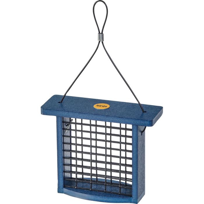 BIRSBCSSNP Image 1