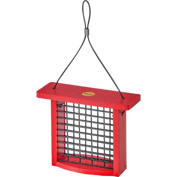 BIRSBCSSRD Image 1