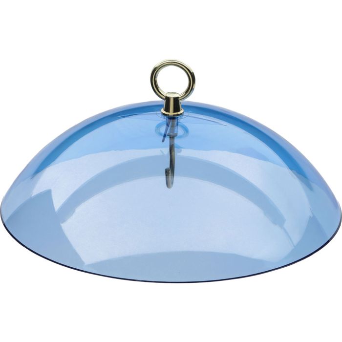 BIRSBLUEDOME Image 1