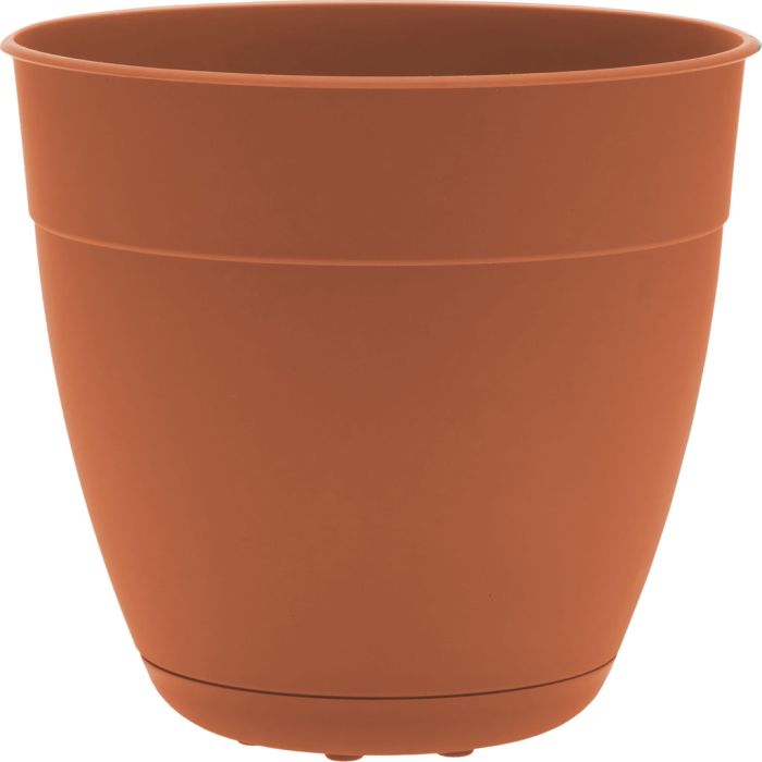 BLOEMDAY0846OS Image 1