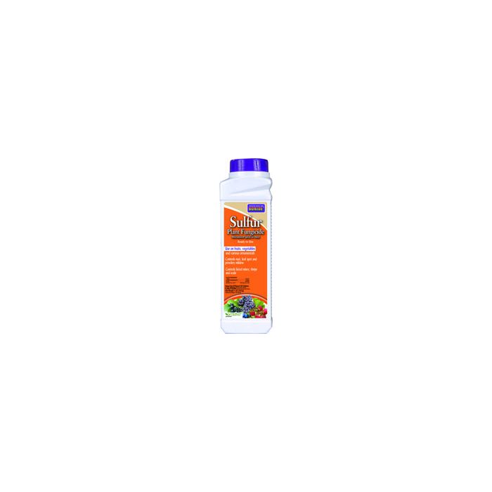 BONIDE141 Image 1