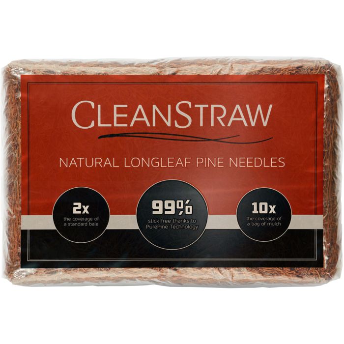 CLEANS001 Image 1