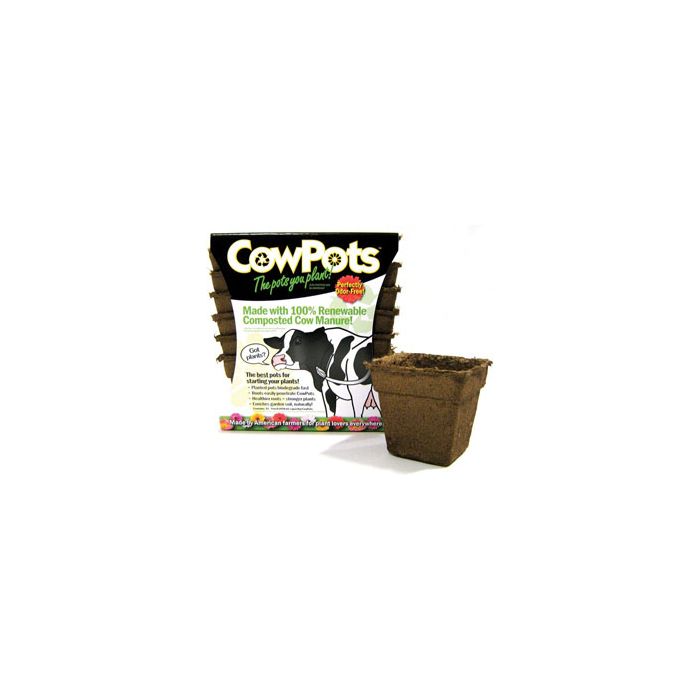 COWPOTCP412 Image 1