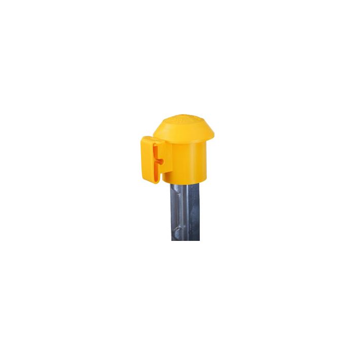 DARE2027 Image 1