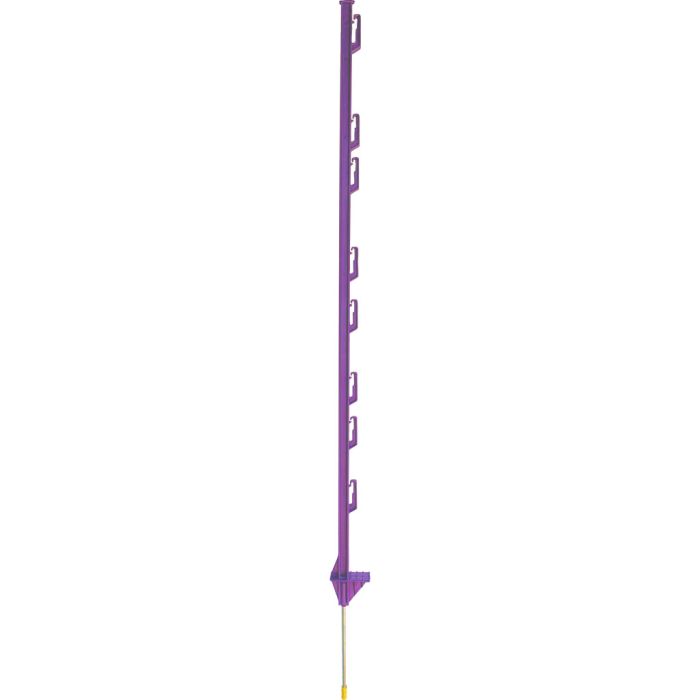 DARE2400PURPLE Image 1