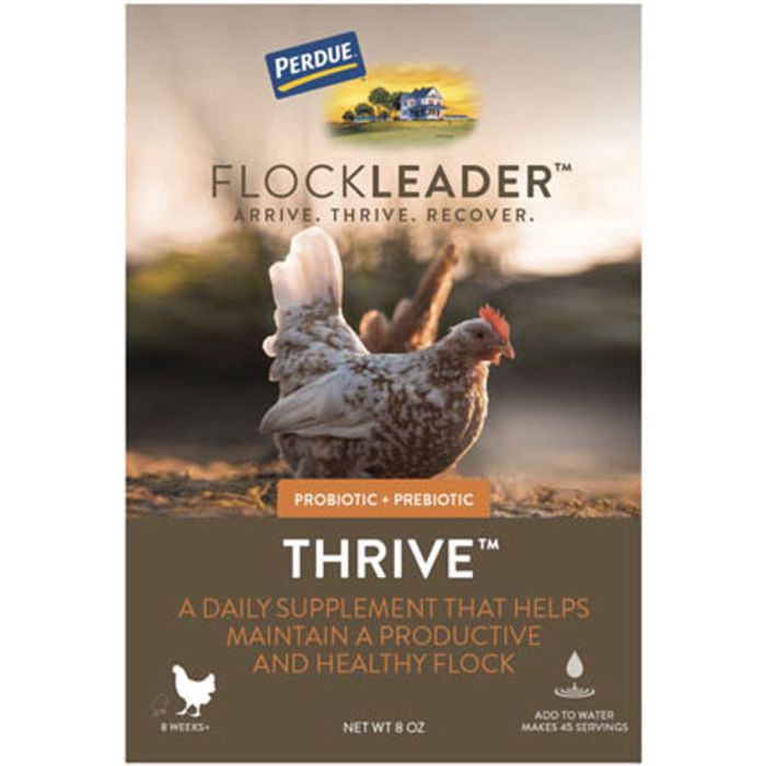 FLOCKL00181051 Image 1