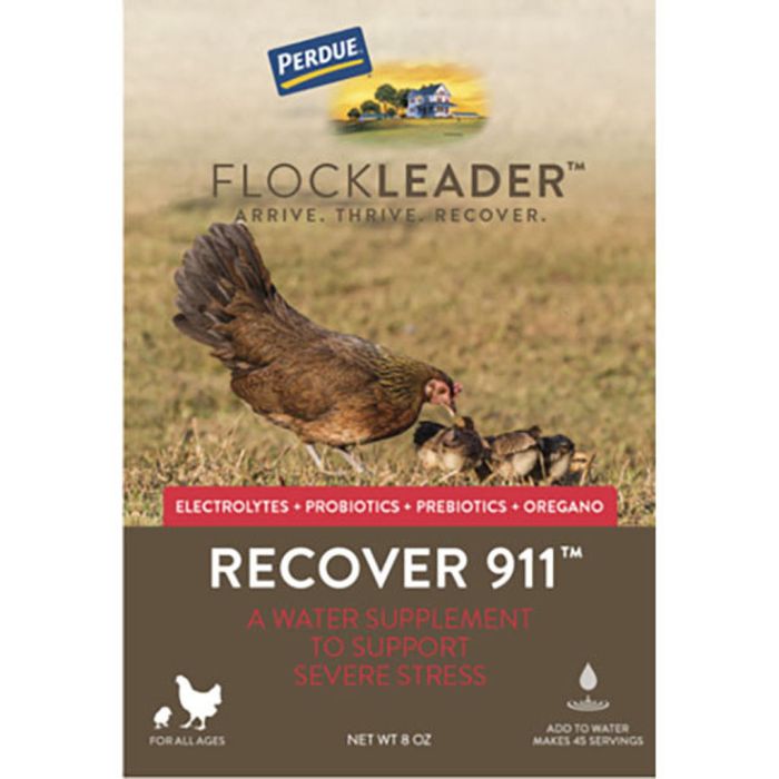 FLOCKL00181054 Image 1