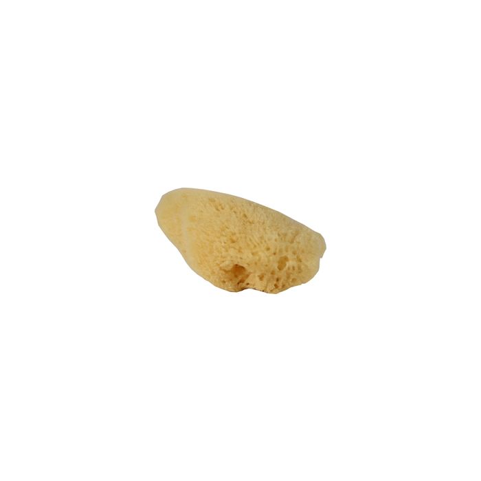 FLUS66020 Image 1