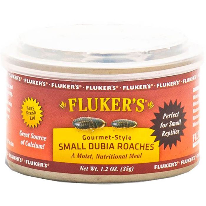 FLUS78030 Image 1