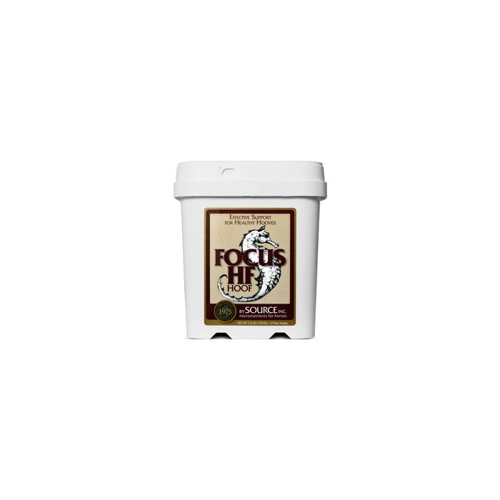 FOCUSFOCUSHF6 Image 1