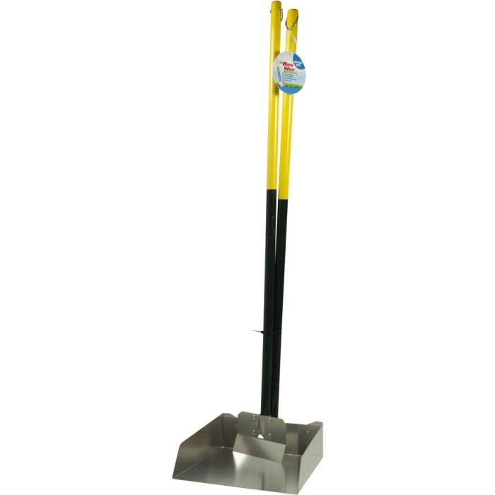 FOUPAW100203167 Image 1