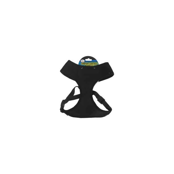 FOUPAW100203699 Image 1