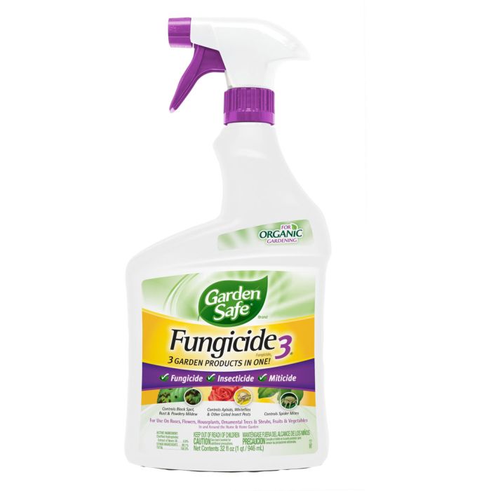 GARSAFHG93215 Image 1