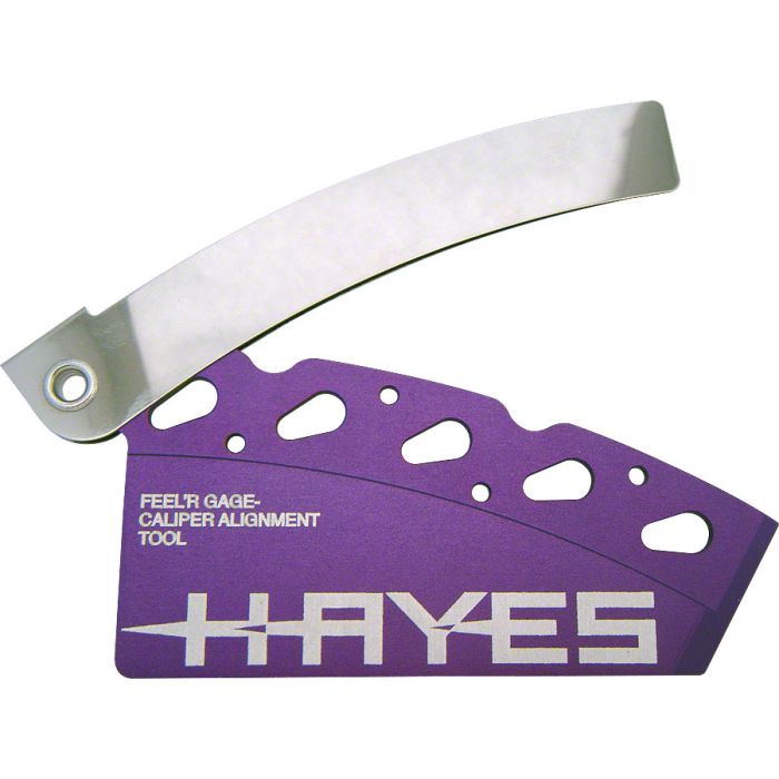 HAYES9823972 Image 1