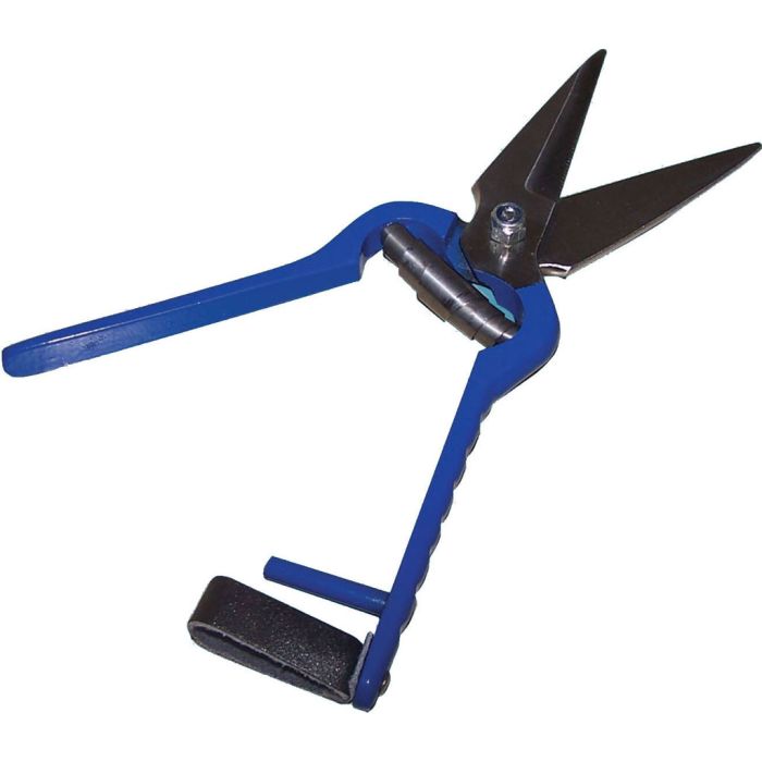 IDEAL0439801 Image 1