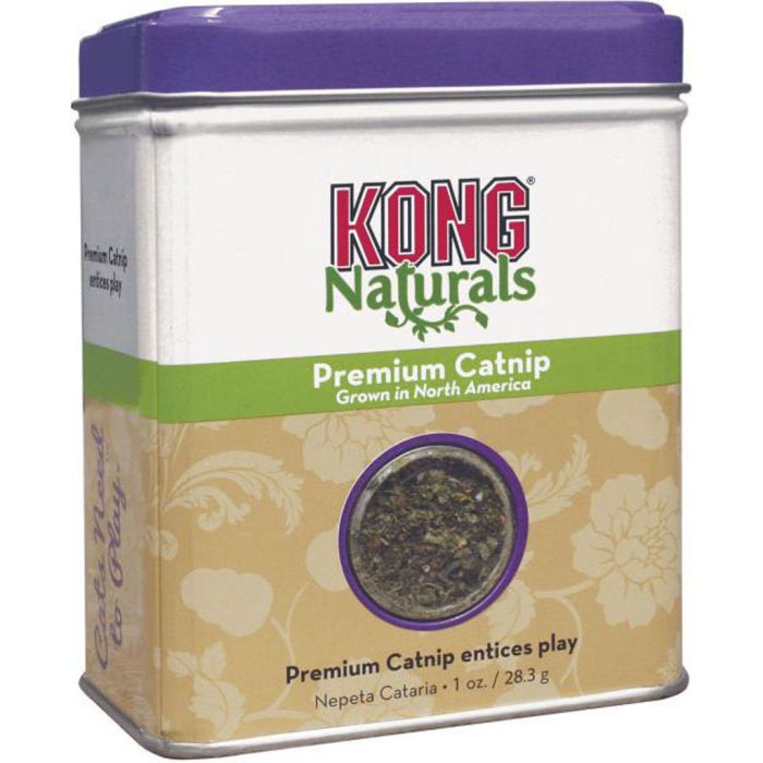 KONGCN21 Image 1