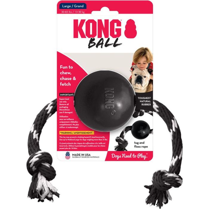KONGEB12 Image 1