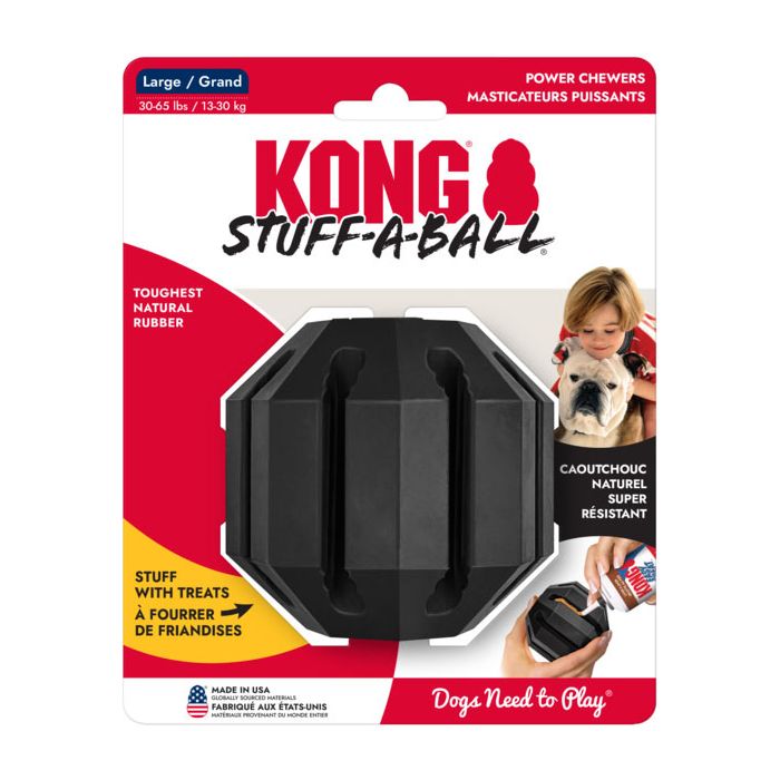 KONGES1 Image 1