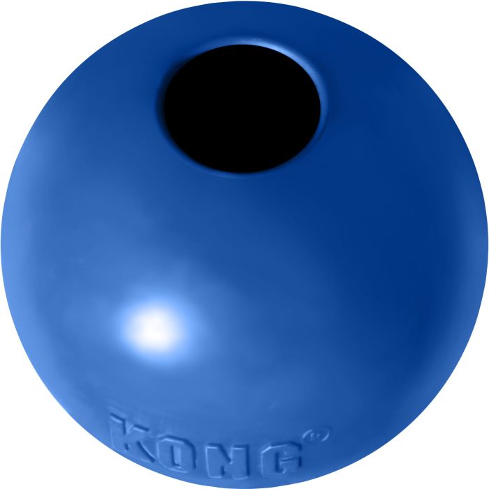 KONGKGB1 Image 1