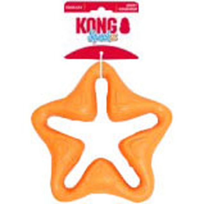 KONGPSXZ21 Image 1