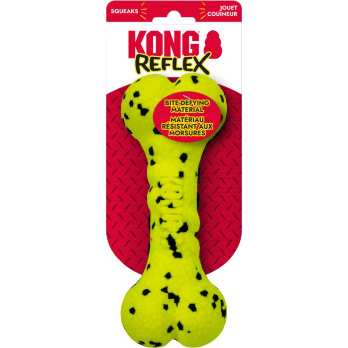 KONGRFS21 Image 1