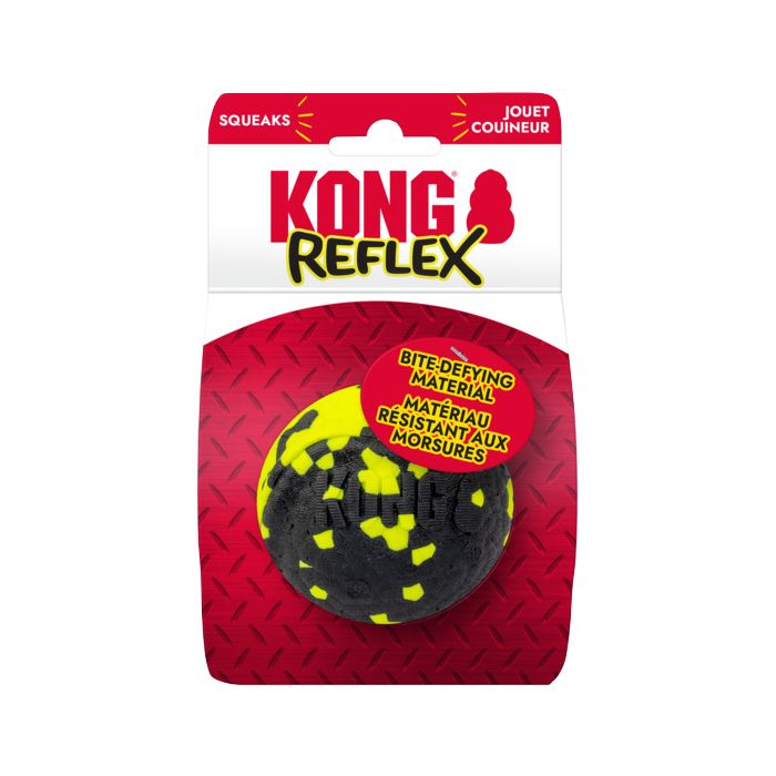 KONGRFS22 Image 1