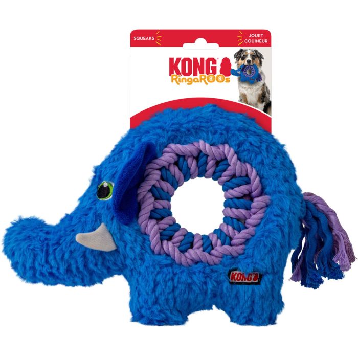 KONGRGR21 Image 1