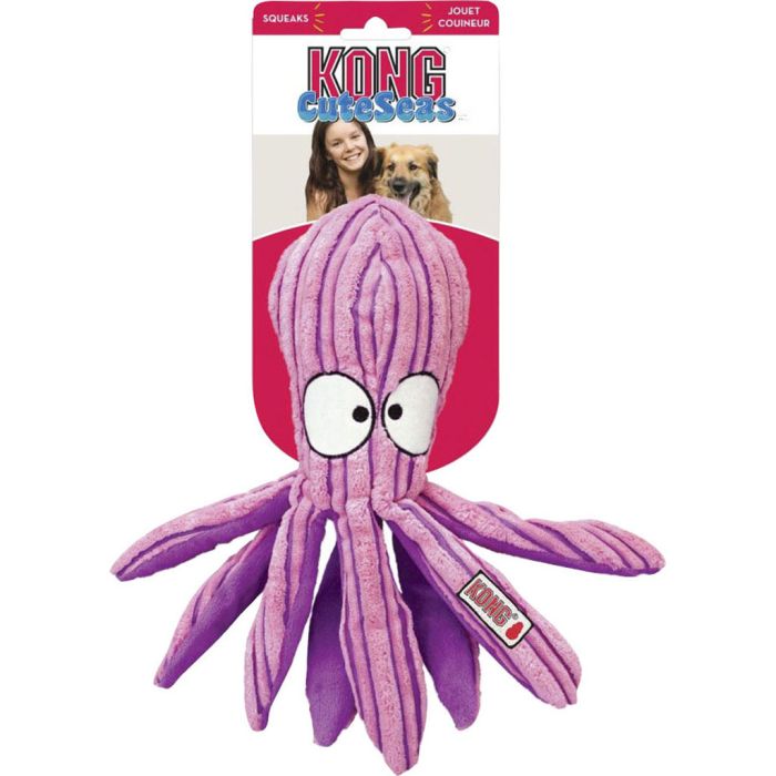 KONGRL13 Image 1