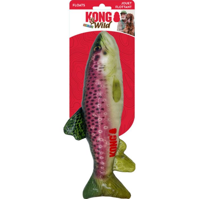 KONGRSW21 Image 1