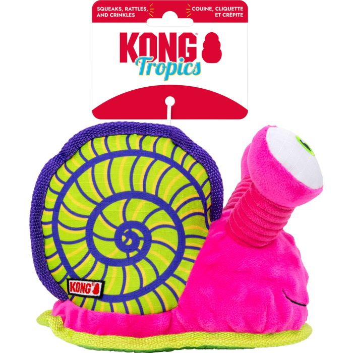 KONGRTR13 Image 1