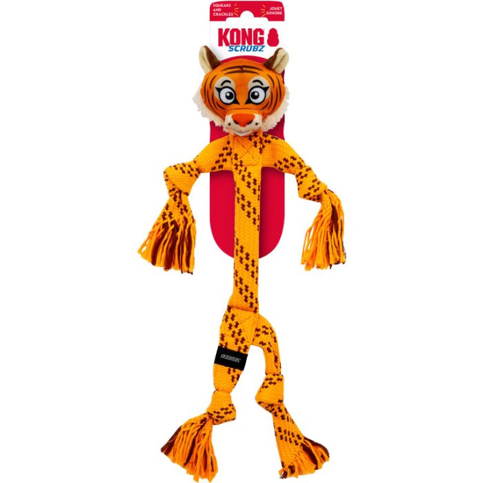 KONGRZSS23 Image 1