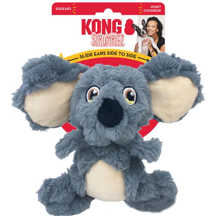 KONGSCZ21 Image 1